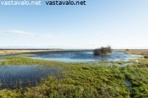 petsamon-ennallistamisaluetta