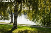 koivujen-varjossa