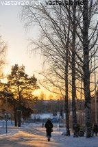 joulukuu-ja-matalalta-paistava-aurinko