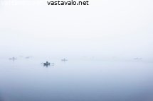 kaksitoista-lohestajaa-sumuisella-joella