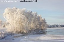 kuusisaari