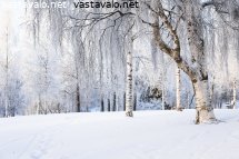 vahaluminen-kylma-tammikuu