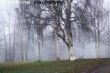 niukkasavyinen-vuodenaika