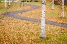 mutkainen-reitti-puistossa
