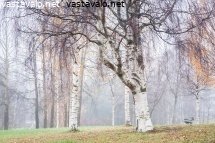sumuinen-syyspaiva