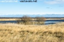 petsamon-ennallistamisaluetta