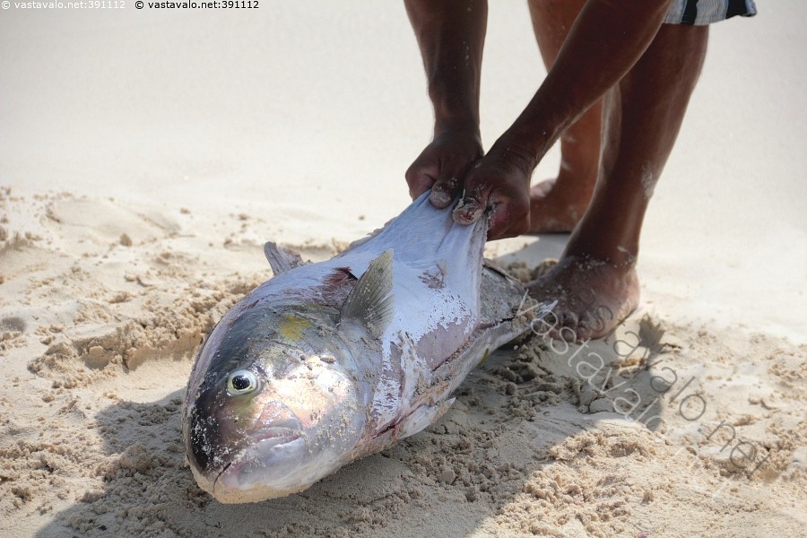 musta miehet iso kalu kuvia