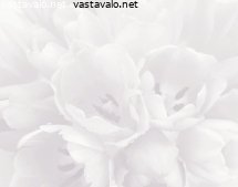 haivahdys