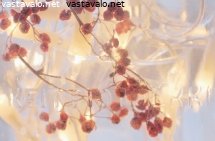 keittiotolkin-uusi-kayttotapa