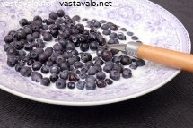 muistatko-viela-lapsuuden-kesaherkun