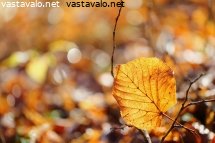 valossa