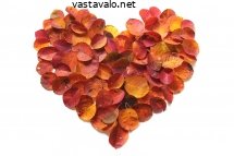 lehtisydan