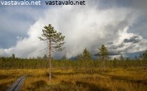 sadetta-kohti