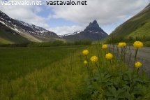 signaldalen