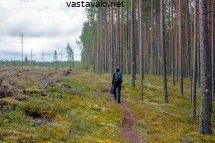 kansallispuiston-rajalla