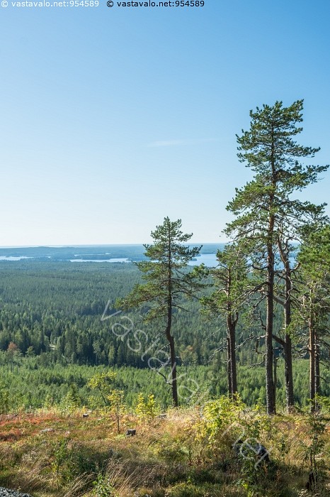 Kuva Kivesvaaran maisemia Kivesvaara vaara Jättiläisenmaa