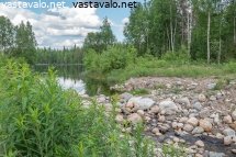 entisoity-kalanviljelyallas