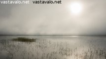 elokuun-usvainen-aamu