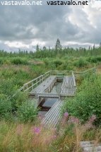 lakkautetun-ja-entisoidyn-luonnonravintolammikon-poikasten-talteenottoranni