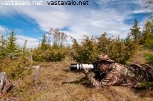 luontokuvaaja