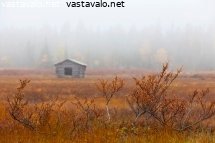 vanha-hirsilato-suolla