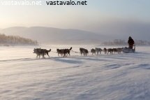 koiravaljakko-kilpisjarven-jaalla