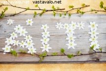 iti-kirjoitettu-valkovuokoista