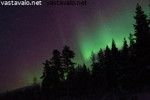 revontulet-lapissa