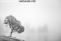 sumu