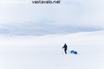 vapaus