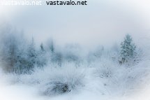 talvinen-uni
