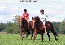 Iso saalis Ratsastus iso kalu