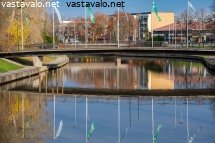 salo