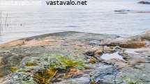 varikas-rantakallio