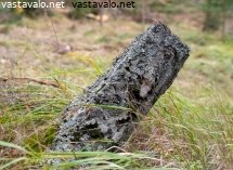 vanha-rajapyykki-metsassa