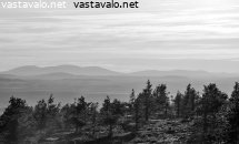 maisema-levitunturin-huipulta-kesakuussa