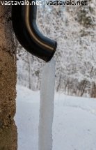 jaatynyt-syoksytorvi