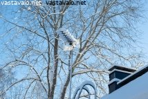 haravaantenni