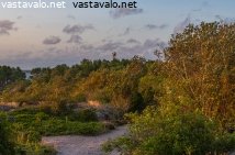 ron-linnakesaaren-maisema-kesailtana