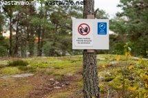 retkeilyreitilta-poikkeaminen