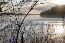 pakkaspaivan-usvaa-ja-heikot-jaat-tammikuussa