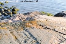merenrantaa