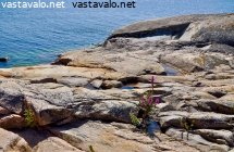 kaunis-karu-kalliosaari