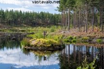 soderlngvikin-kartanon-kunnostettu-kosteikko