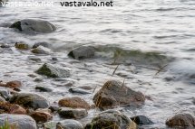 lempea-aalto