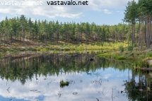 soderlngvikin-kartanon-kunnostettu-kosteikko