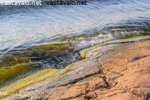 meri-viherleva-ja-rantakallio