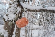 suolakivi-peuroille-autonkylkien-sijaan
