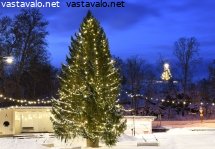 kylan-joulukuusi