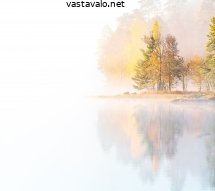 syysaamun-rauhaa